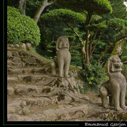 Deux lions Deux lions