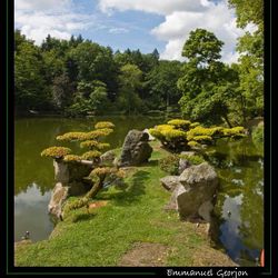 Petit chemin Petit chemin