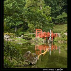 Pont japonais Pont japonais