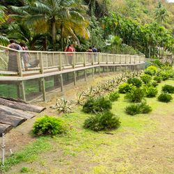 parc-zoologique-08.jpg