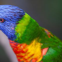 parc-zoologique-11.jpg