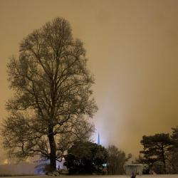 La fontaine et l’arbre