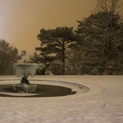 La fontaine gelée