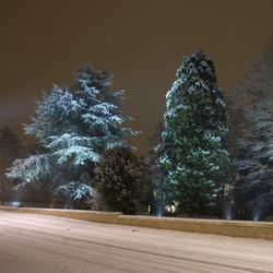 Le parc vu de la rue