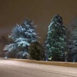 Le parc vu de la rue