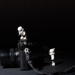 Séance photo