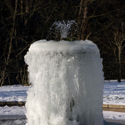 Le parc vu de la rue