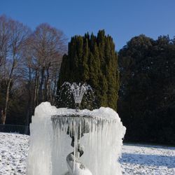 Fontaine 6