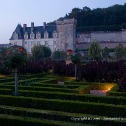 Le jardin à la tombée du jour