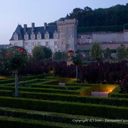 Le jardin à la tombée du jour
