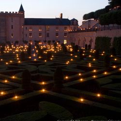 Le jardin d'ornement