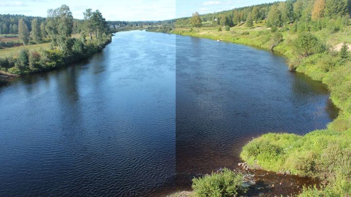 Figure 5 : Photo, sans, et avec un filtre polarisant