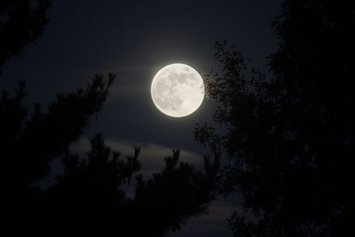 Figure 2 : Photo de Chrissy Wainwright sur FlickR - ISO 500, f/6.3, 300 mm - CC BY-NC 2.0