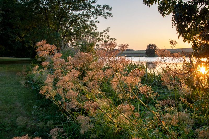 Figure 24 : Stratégie de contournement, en réduisant autant que possible le soleil