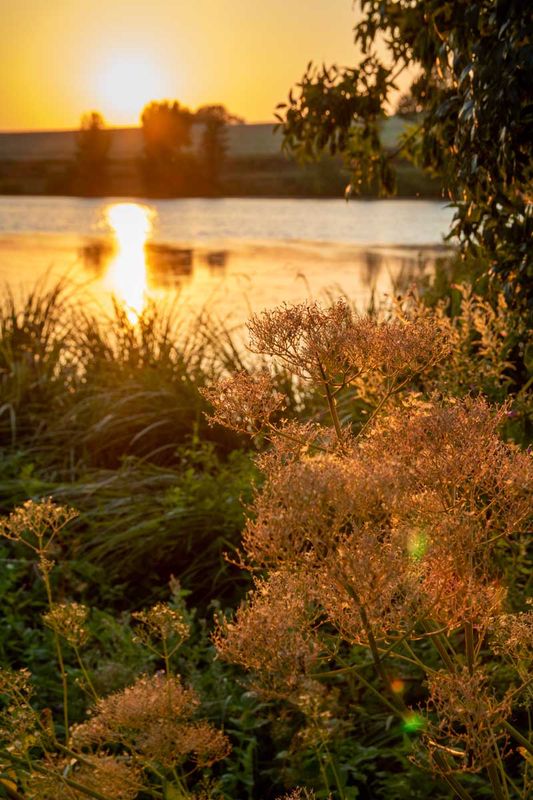 Figure 25 : Le compromis : Sacrifice modéré des hautes lumières - [BY-NC 4.0] - f/8.0, 1/200 sec., 40mm, ISO400