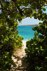 Anse Michel - Martinique