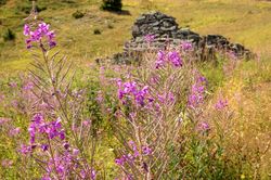 Paysage à proximité de Méribel - Orientation paysage Paysage à proximité de Méribel - Orientation paysage