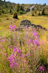 Paysage à proximité de Méribel - Orientation portrait Paysage à proximité de Méribel - Orientation portrait