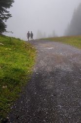 Randonnée dans la brume Randonnée dans la brume