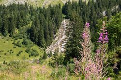 Randonnée à proximité d'Avoriaz