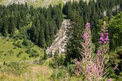 Randonnée à proximité d'Avoriaz