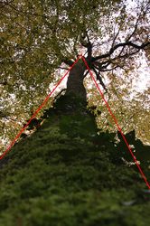 Lignes directrices : perspective verticale