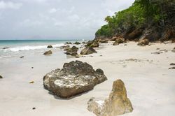 Trouver un sujet : Plage Martiniquaise
