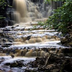(3) Ruisseau