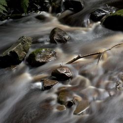 (4) Autre vue du ruisseau (4) Autre vue du ruisseau