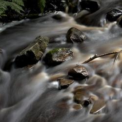 (4) Autre vue du ruisseau
