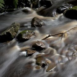 (4) Autre vue du ruisseau