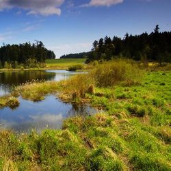 (2) Lac paisible (2) Lac paisible