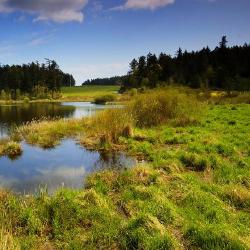 (2) Lac paisible