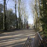Mise au point sur le bord du banc