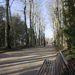 Mise au point sur le bord du banc