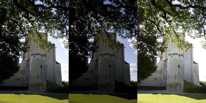 Donjon de Loches: Photos d’origine