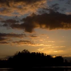 Sortie nocturne 1/2