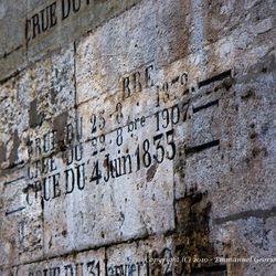 Promenade en bord de Loire 2/6 Promenade en bord de Loire 2/6